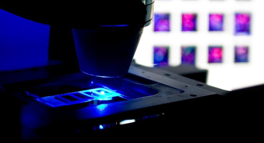 A New Home for the Neurosciences